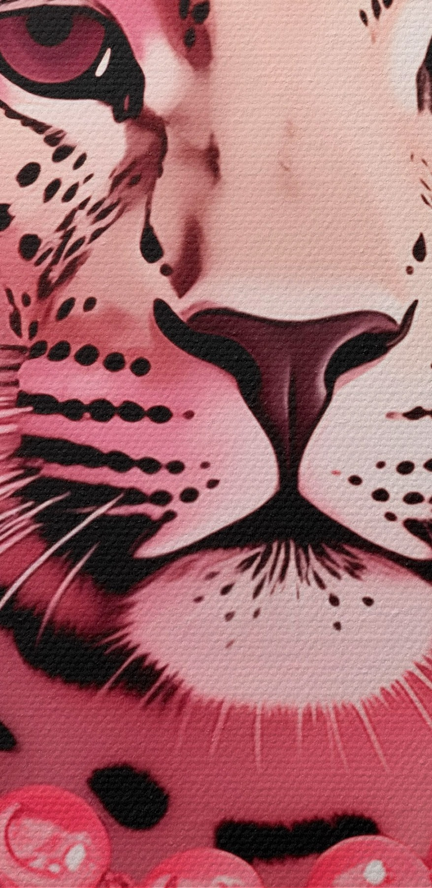 Leopard cu un colier Leopard cu un colier