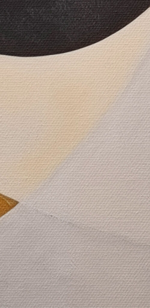 Dynamic shapes in monochrome harmony Dynamic shapes in monochrome harmony