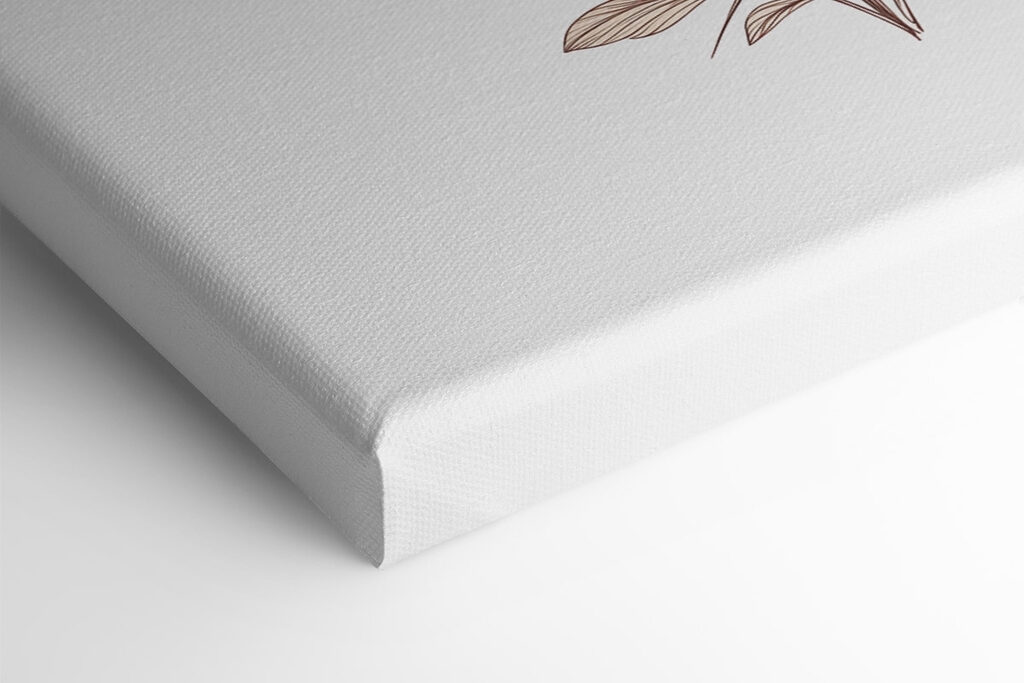 Drawing of a flower Drawing of a flower