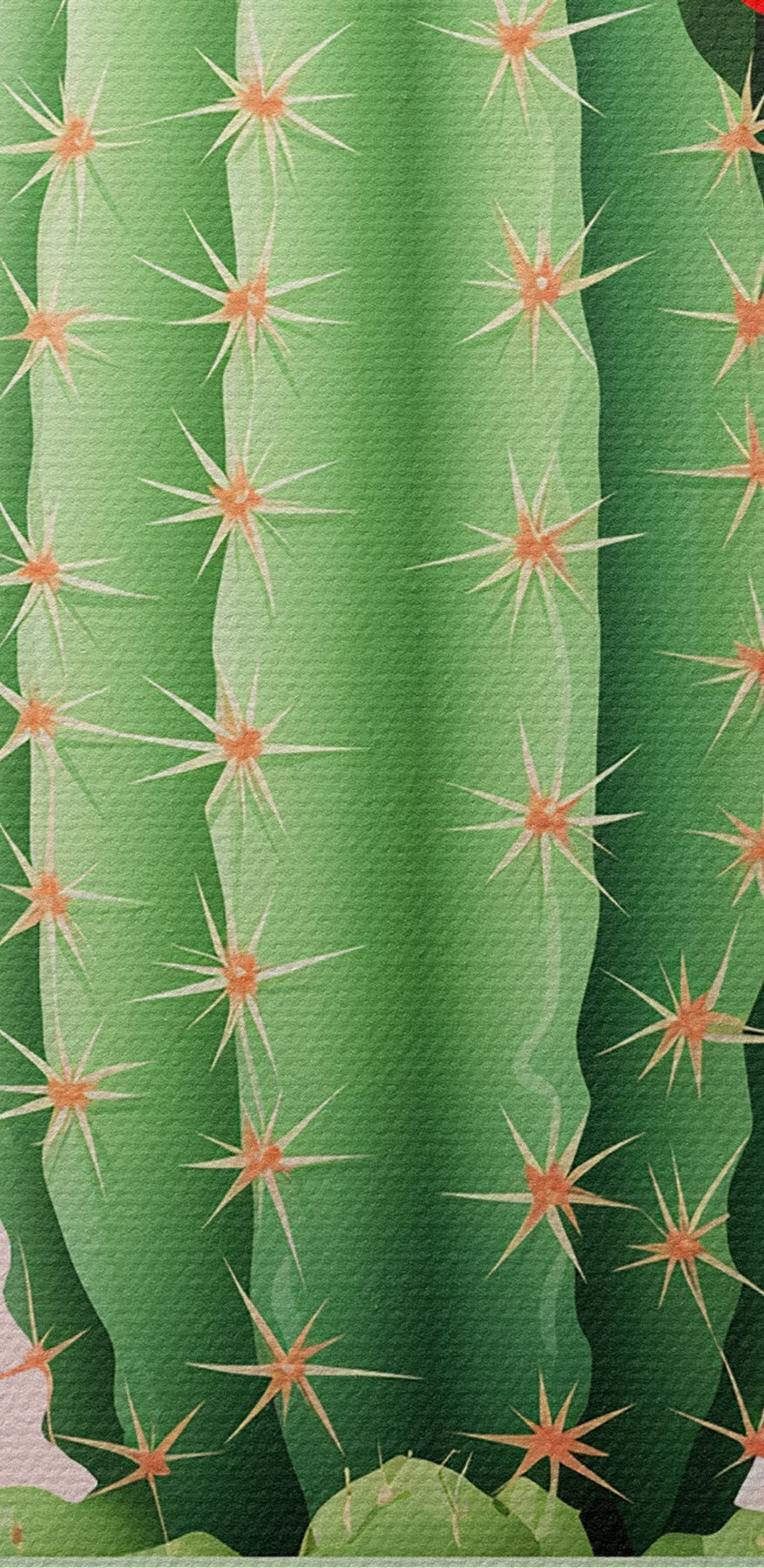 Cactus cu flori într-o oală Cactus cu flori într-o oală