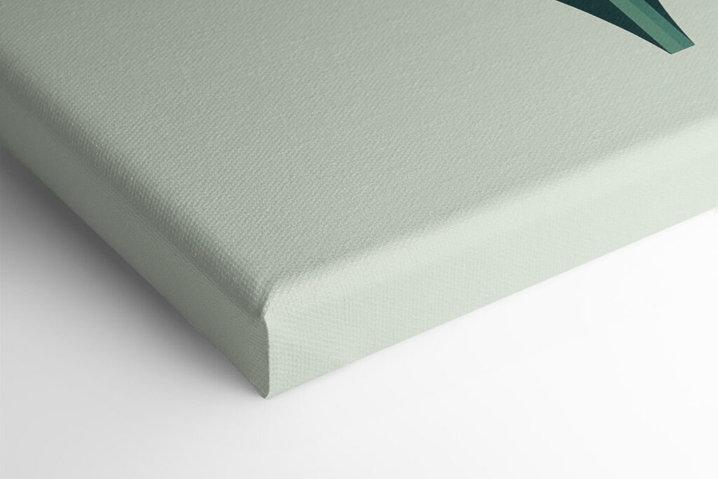 Pink flower with green leaves Pink flower with green leaves