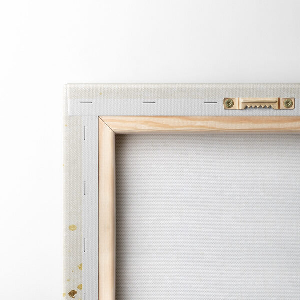 Flowing abstract colors and organic shapes