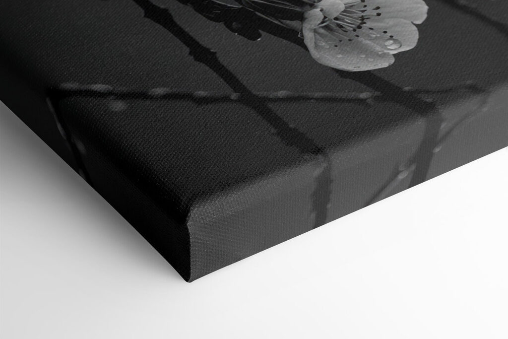 Delicate blooms beneath gentle rain