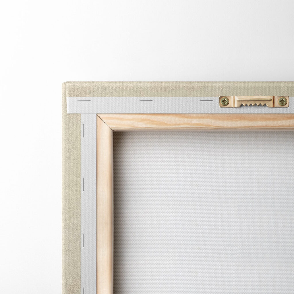 Black cat with whiskers