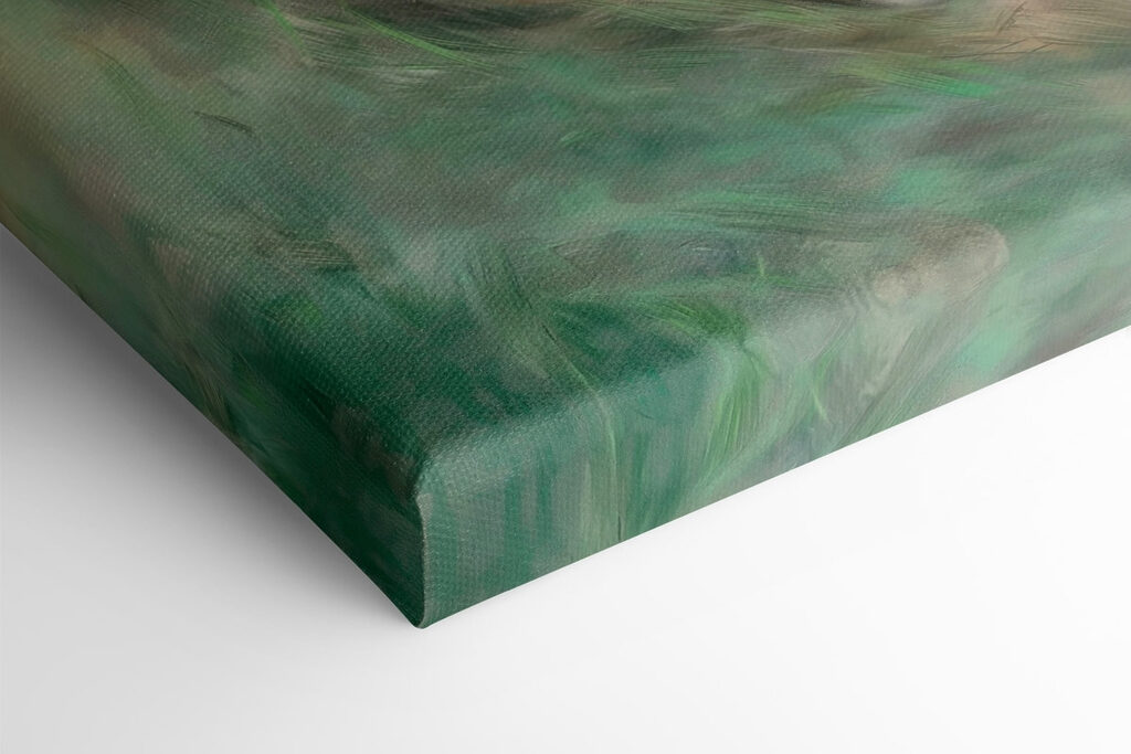 Fox sleeping in the grass