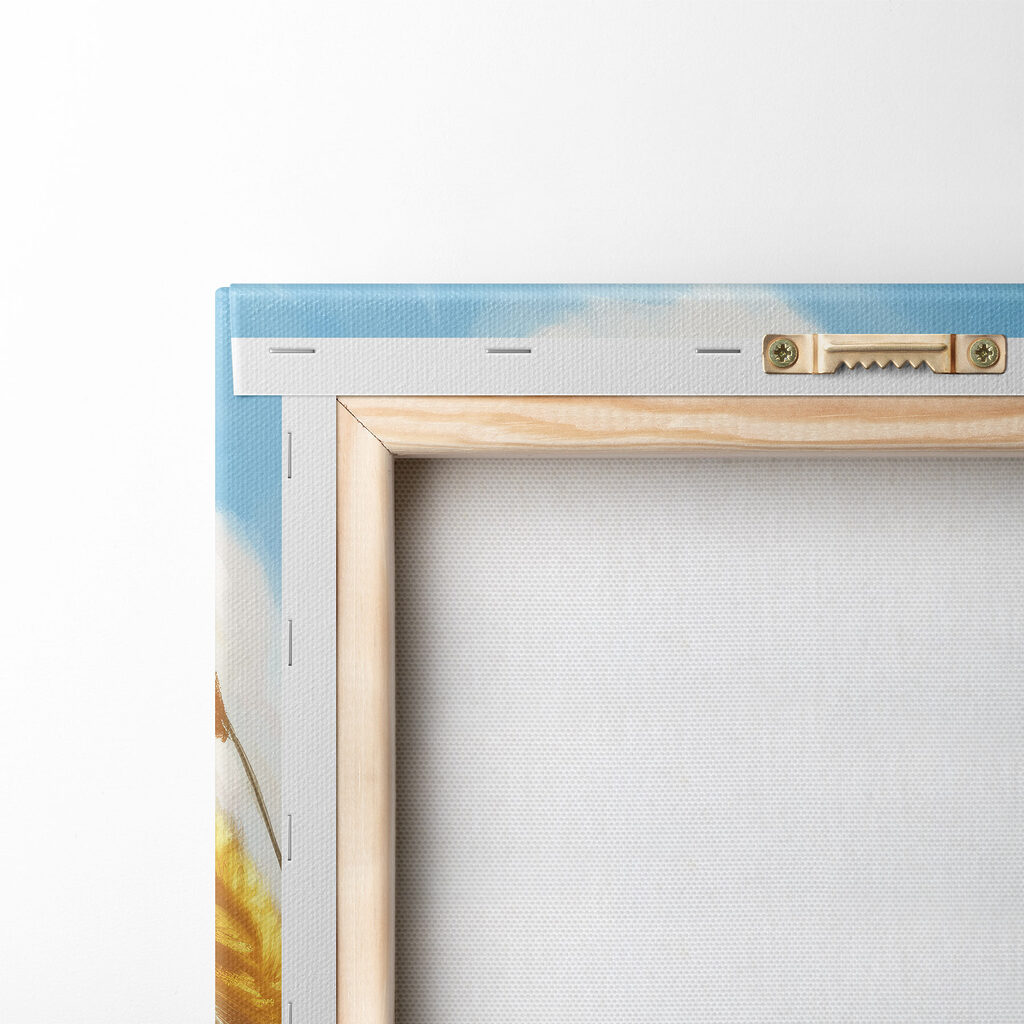 Cat sitting in a wheat field