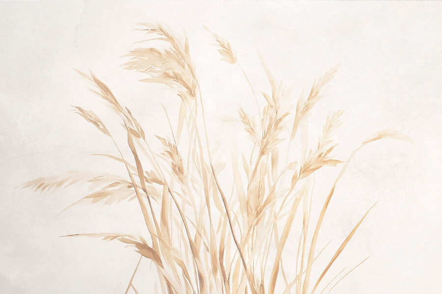 Fototapet Ierburi delicate pe un fundal moale - imagine 5