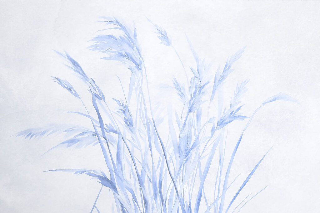 Ierburi delicate în nuanțe delicate. Ierburi delicate în nuanțe delicate.