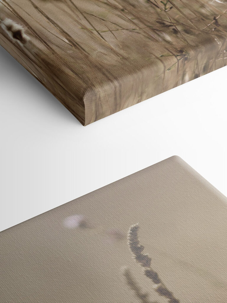 A close up of a plant