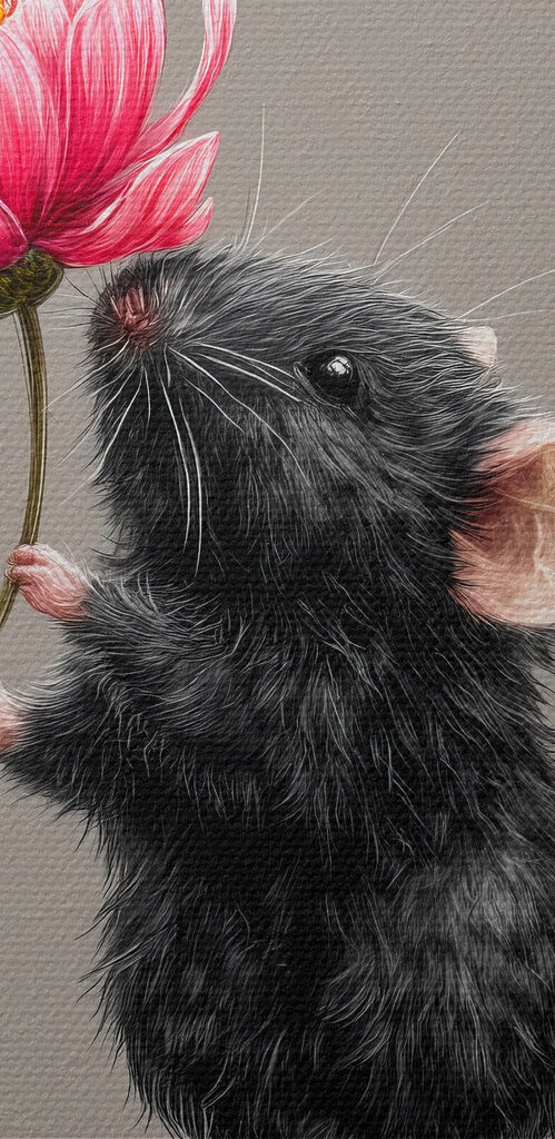 Mouse holding a flower