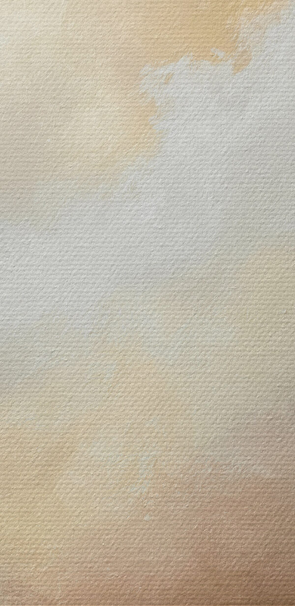 Pictura unui peisaj Pictura unui peisaj