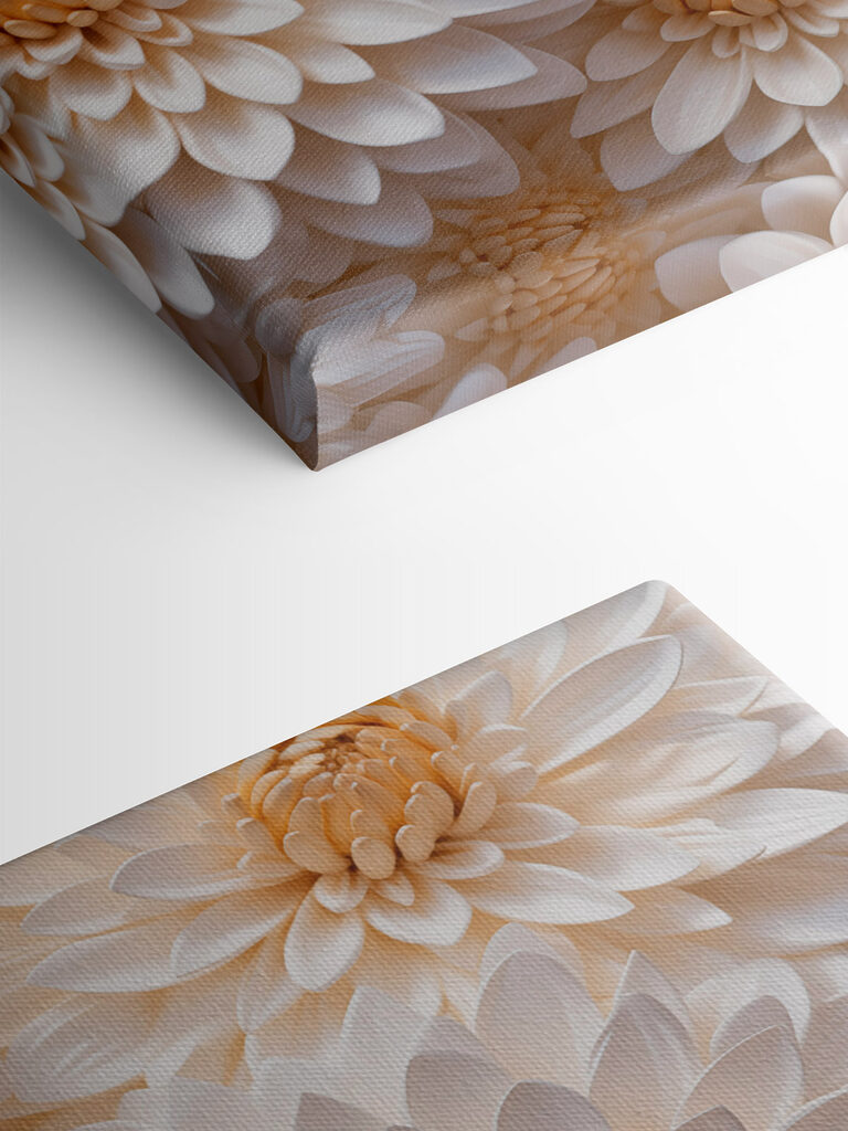 Group of white flowers Group of white flowers