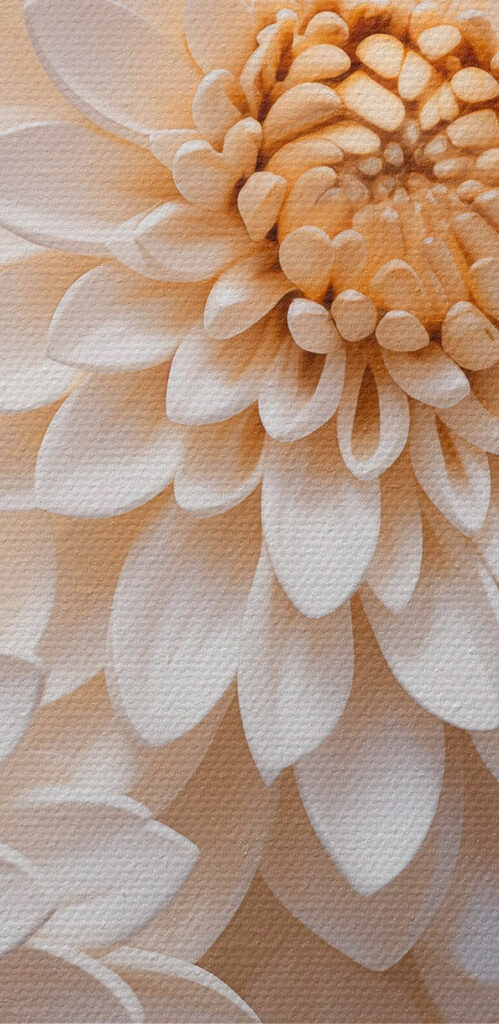 Group of white flowers Group of white flowers