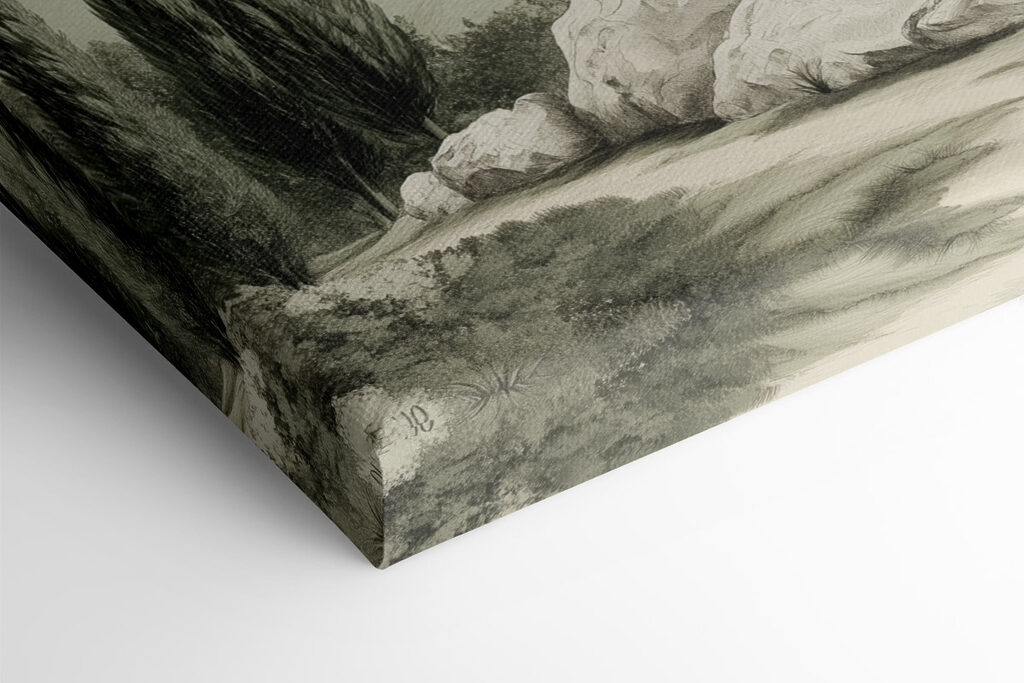 Group of trees on a hill