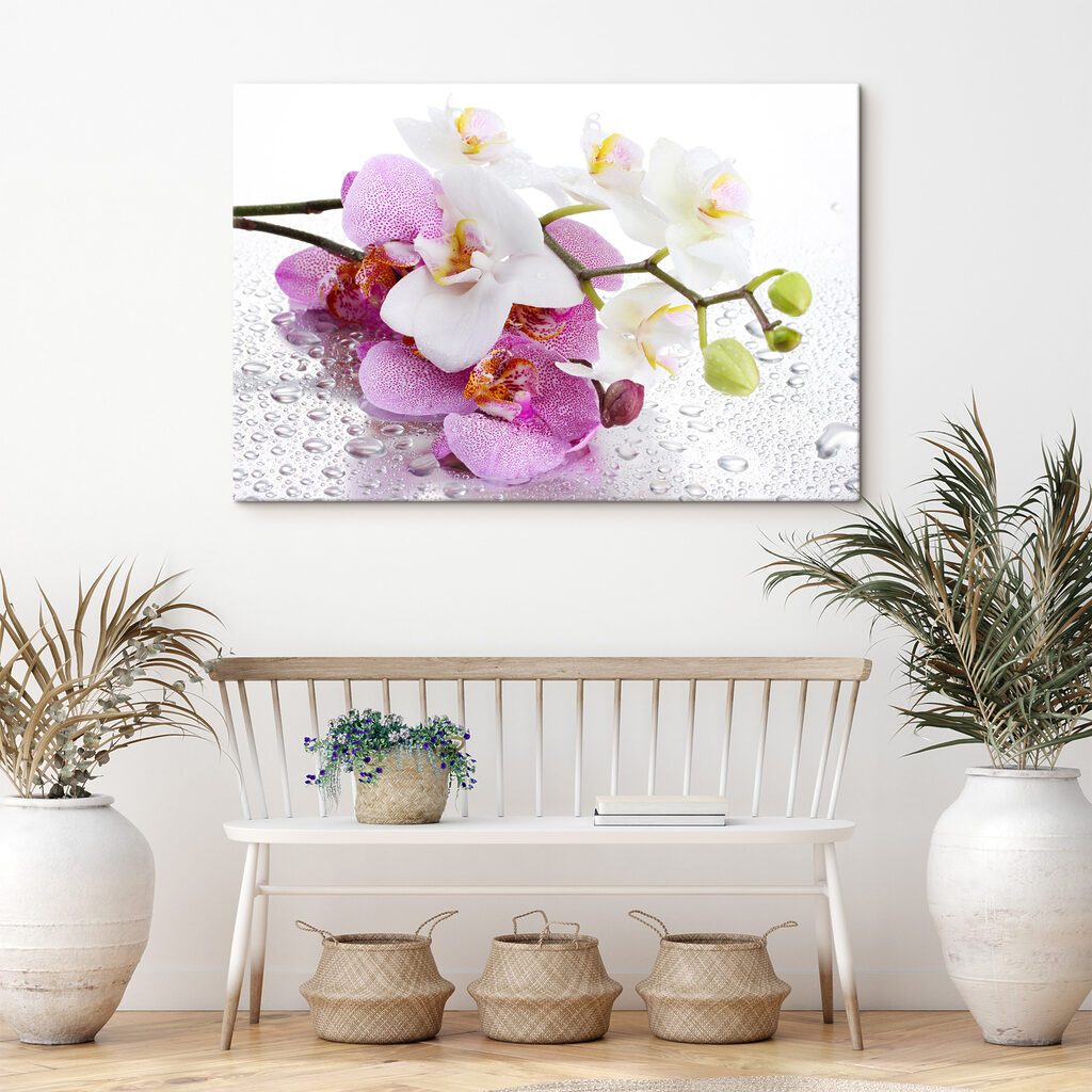 A close up of flowers