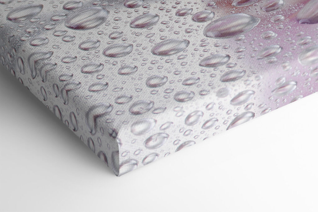 A close up of flowers