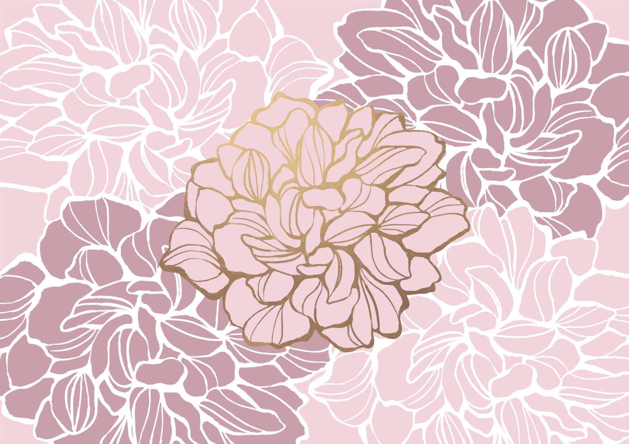 t00003v1p - Floare roz și albă - tegory