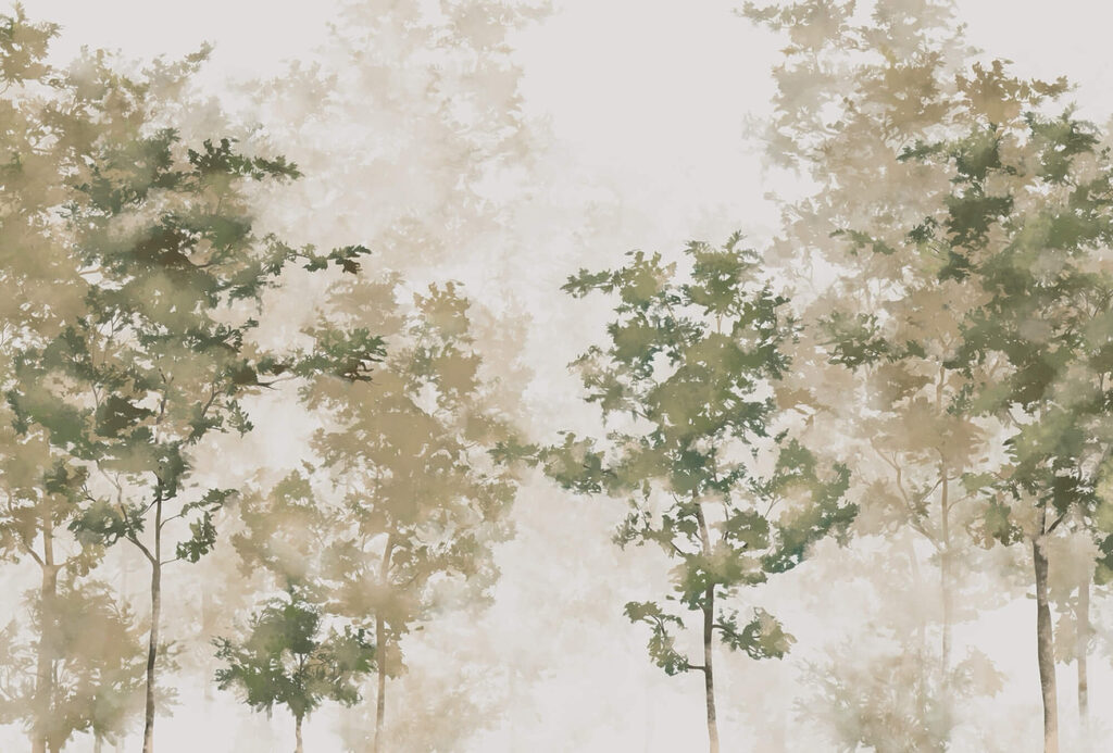 t00008p 1024x693 - Grup de copaci cu ceață - tegory