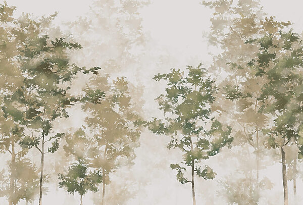 t00008p 600x406 - Grup de copaci cu ceață - tegory