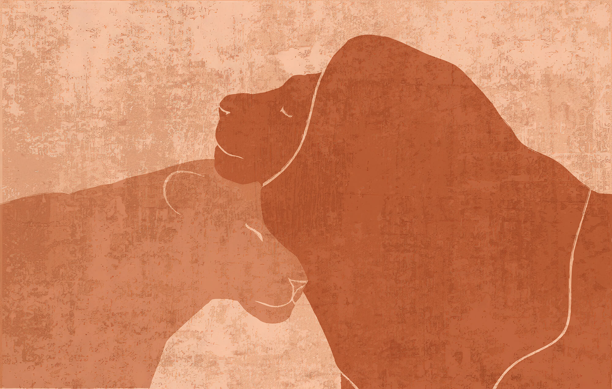 Lion and lioness drawing Lion and lioness drawing