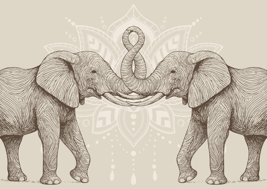 Two elephants with their trunks curled up