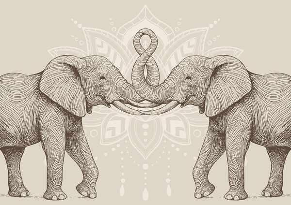 Two elephants with their trunks curled up