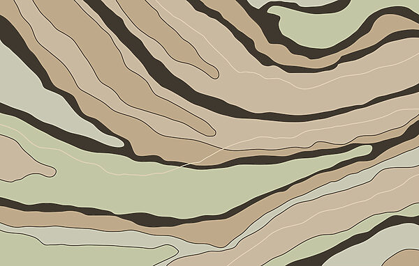 Linii abstracte în tonuri calde de pământ Linii abstracte în tonuri calde de pământ