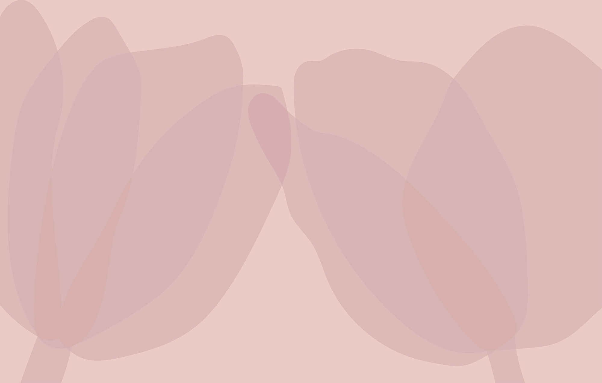 Pink and white background