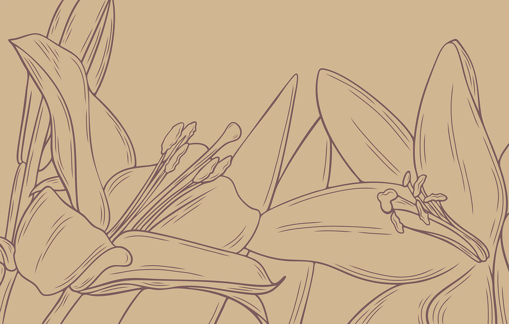 Desenul unei flori Desenul unei flori