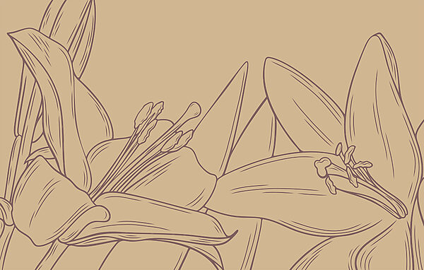 Desenul unei flori Desenul unei flori