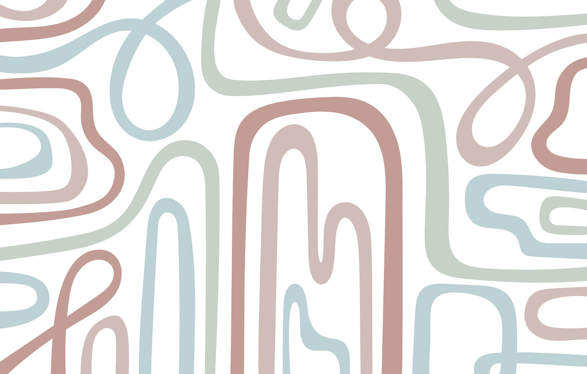 Colorful lines on a white background