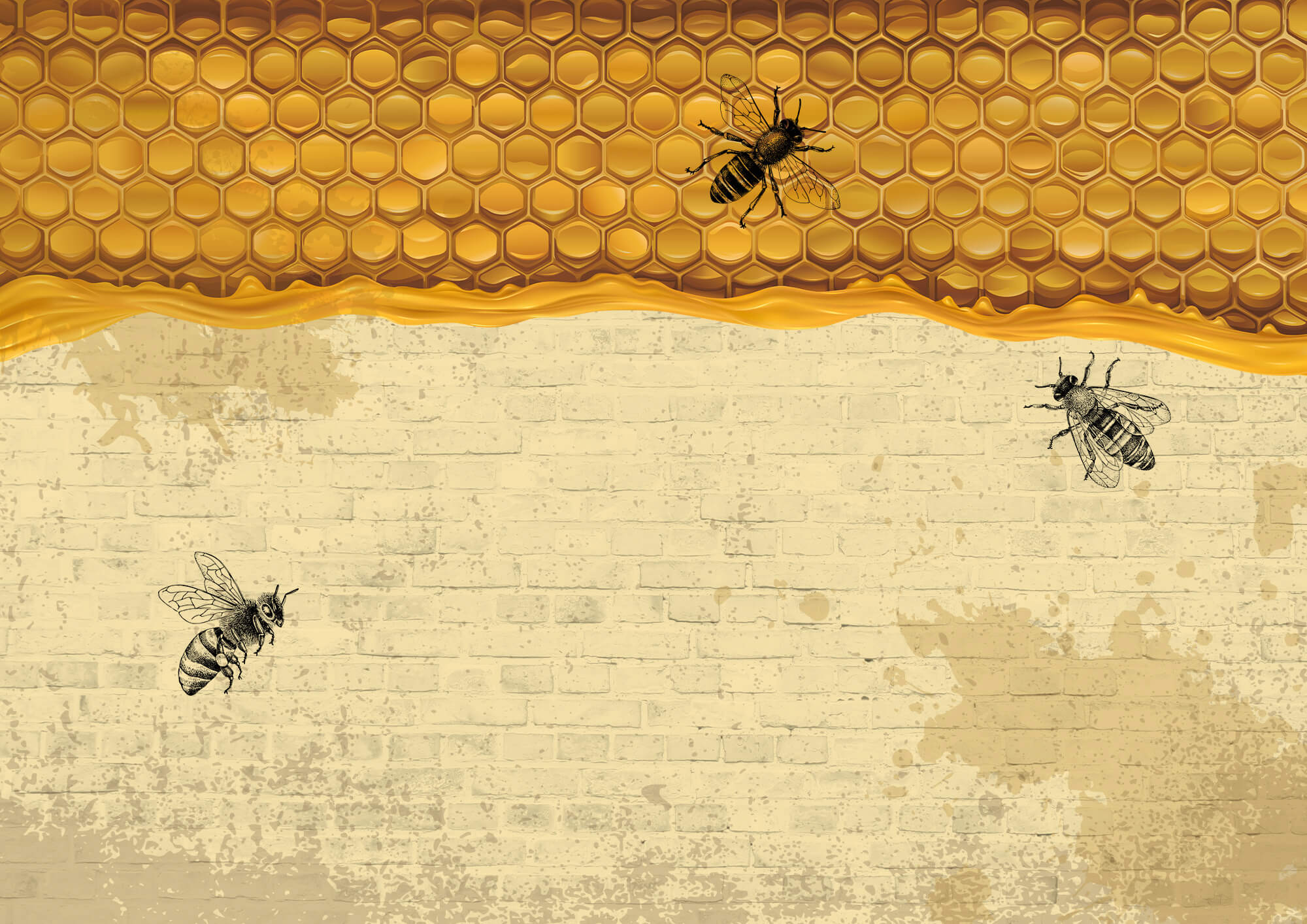 Bees on a brick wall