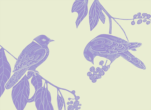 Drawing of birds on a branch