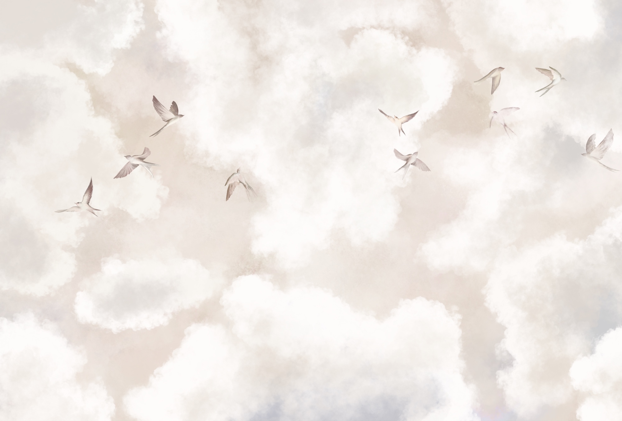 Group of birds flying in the sky