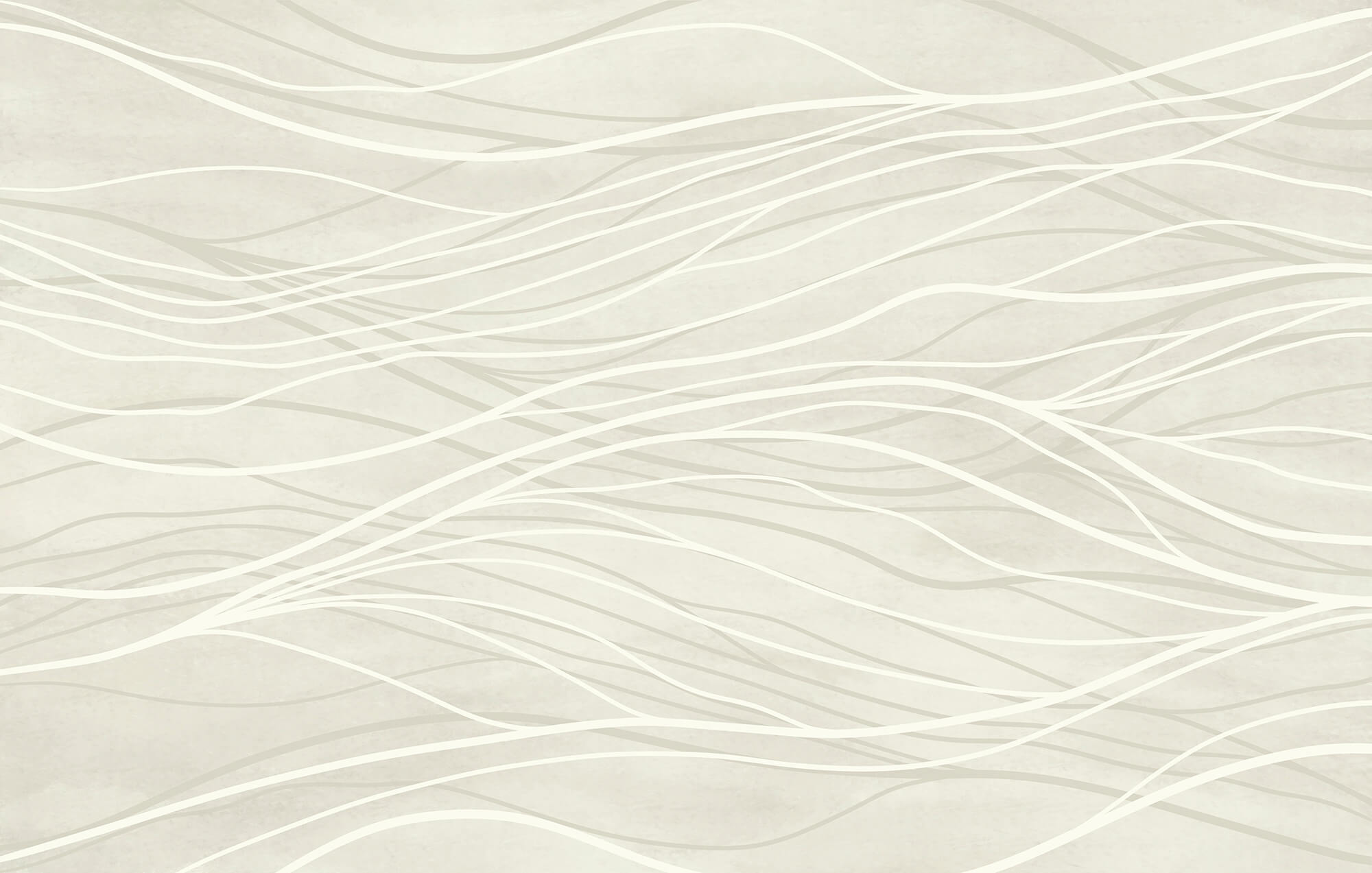 White lines on a white surface