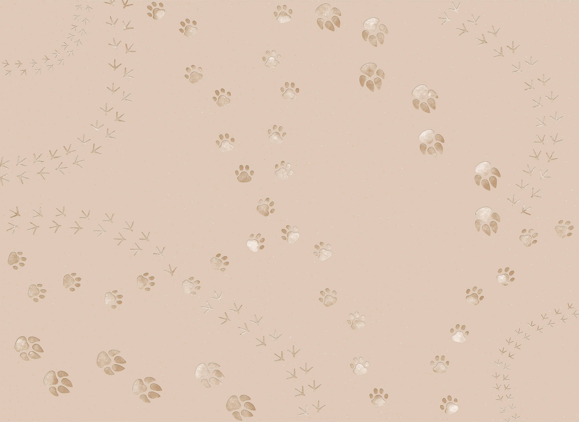 Pattern of paw prints and birds Pattern of paw prints and birds