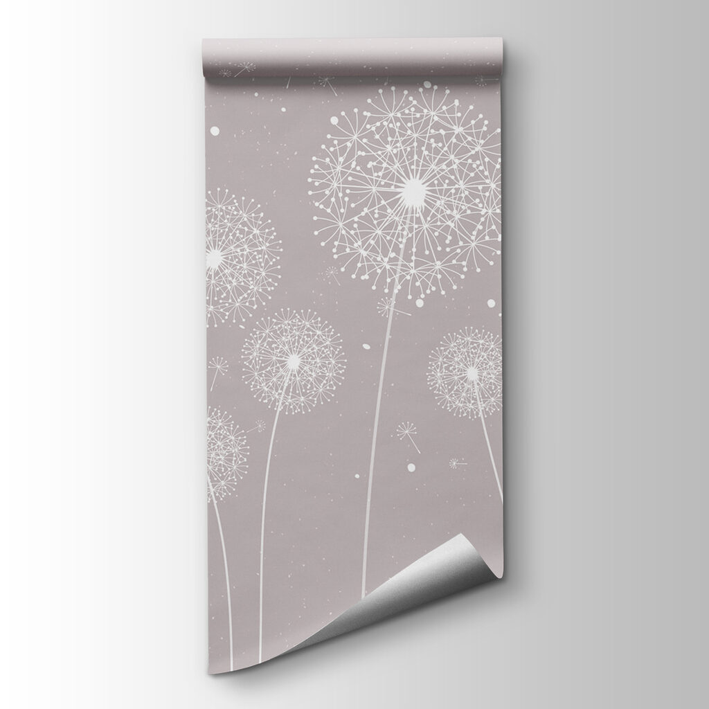 A white dandelions on a grey background A white dandelions on a grey background