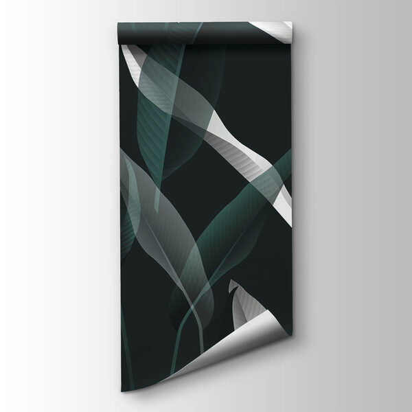 Elegant leaves on a dark backdrop Elegant leaves on a dark backdrop