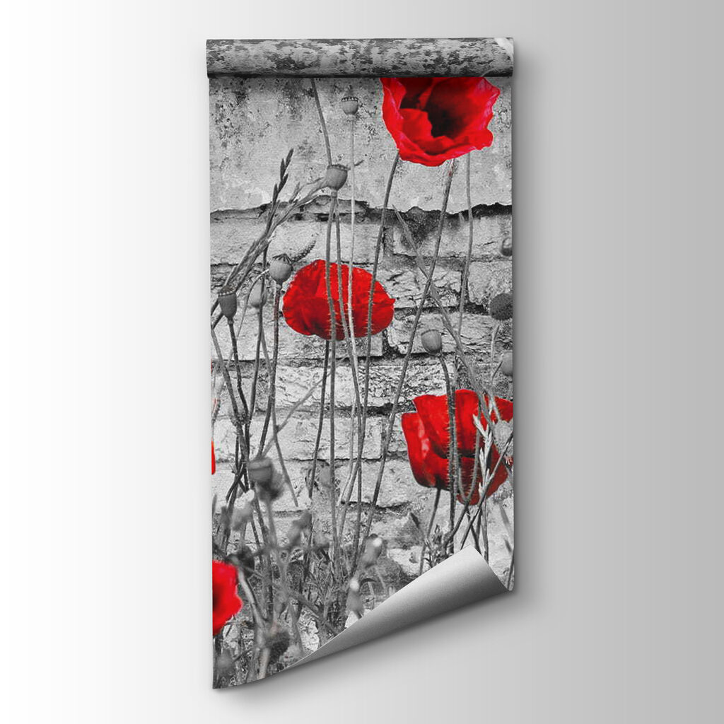 Red flowers in a field