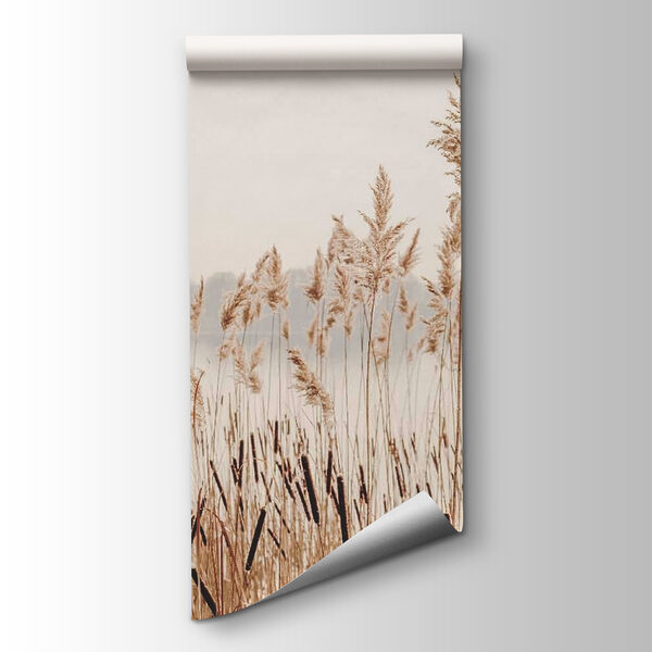 Tall grass with a body of water in the background