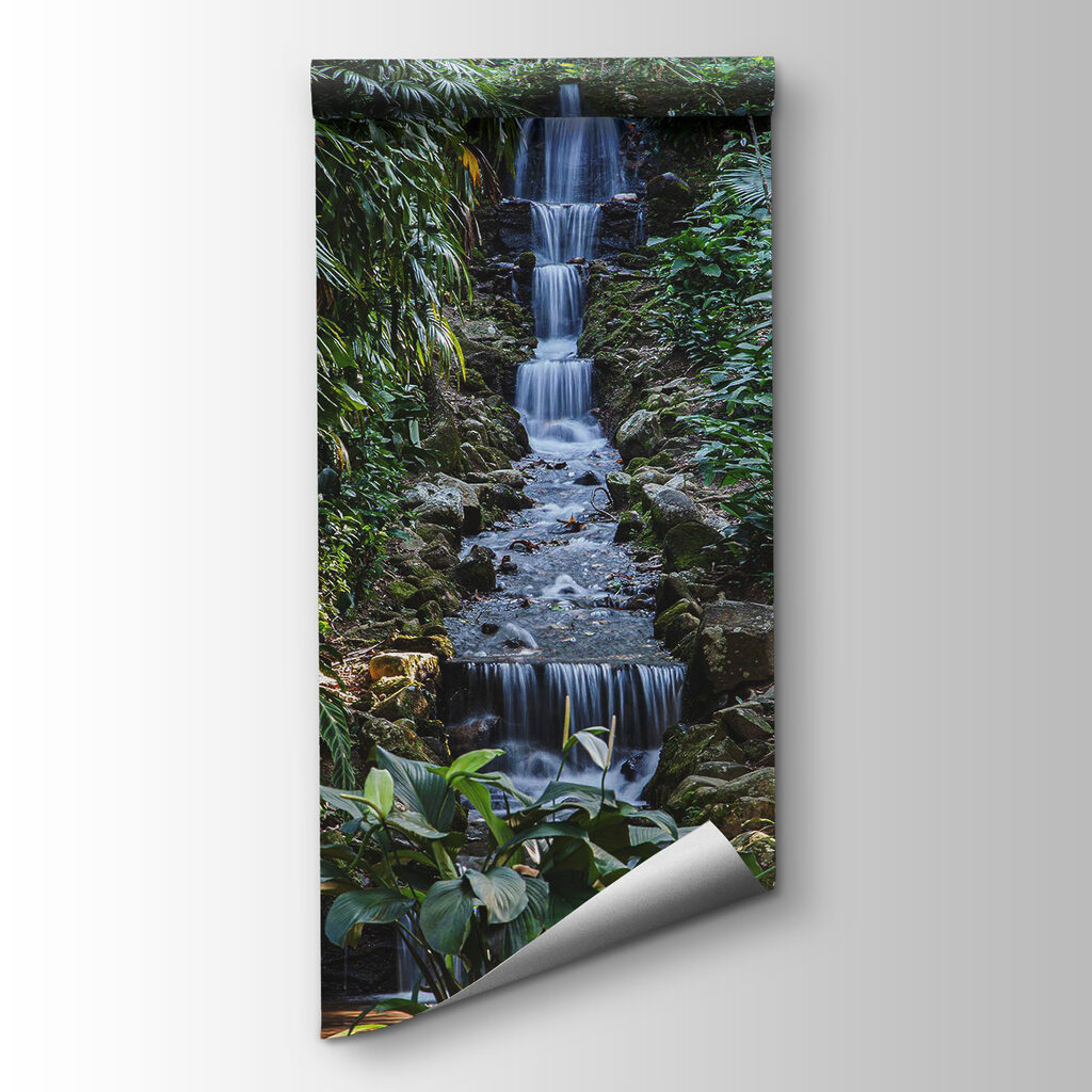 Waterfall in a jungle