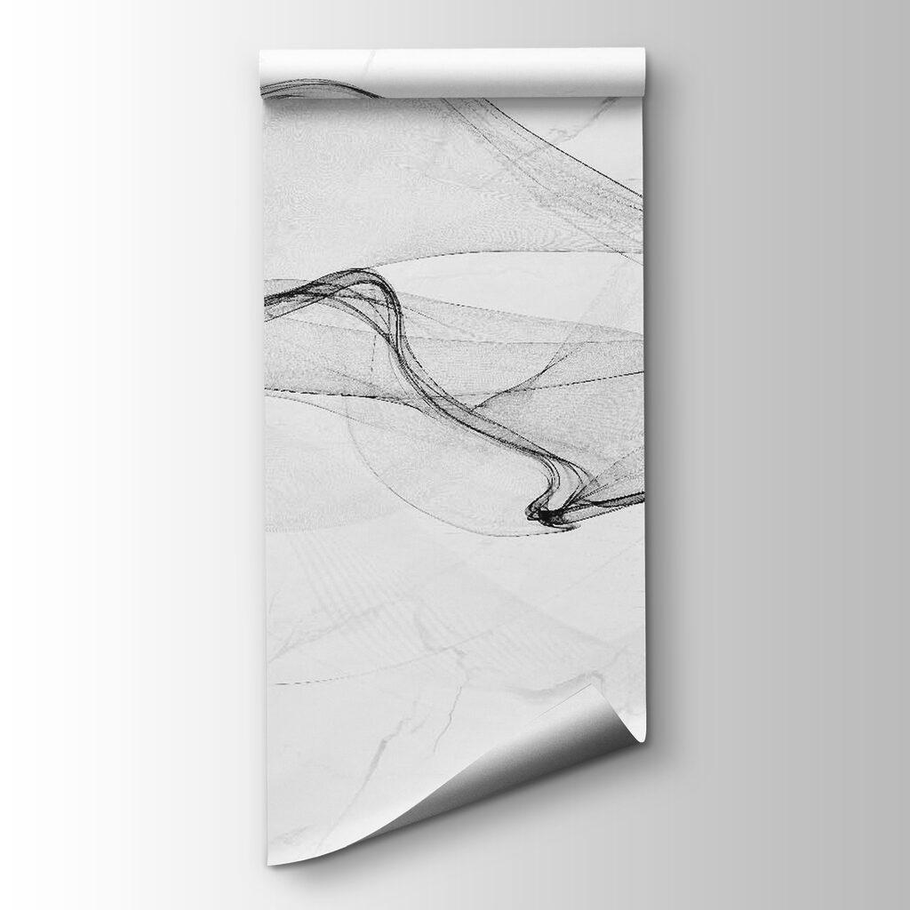 Black and white image of a white background