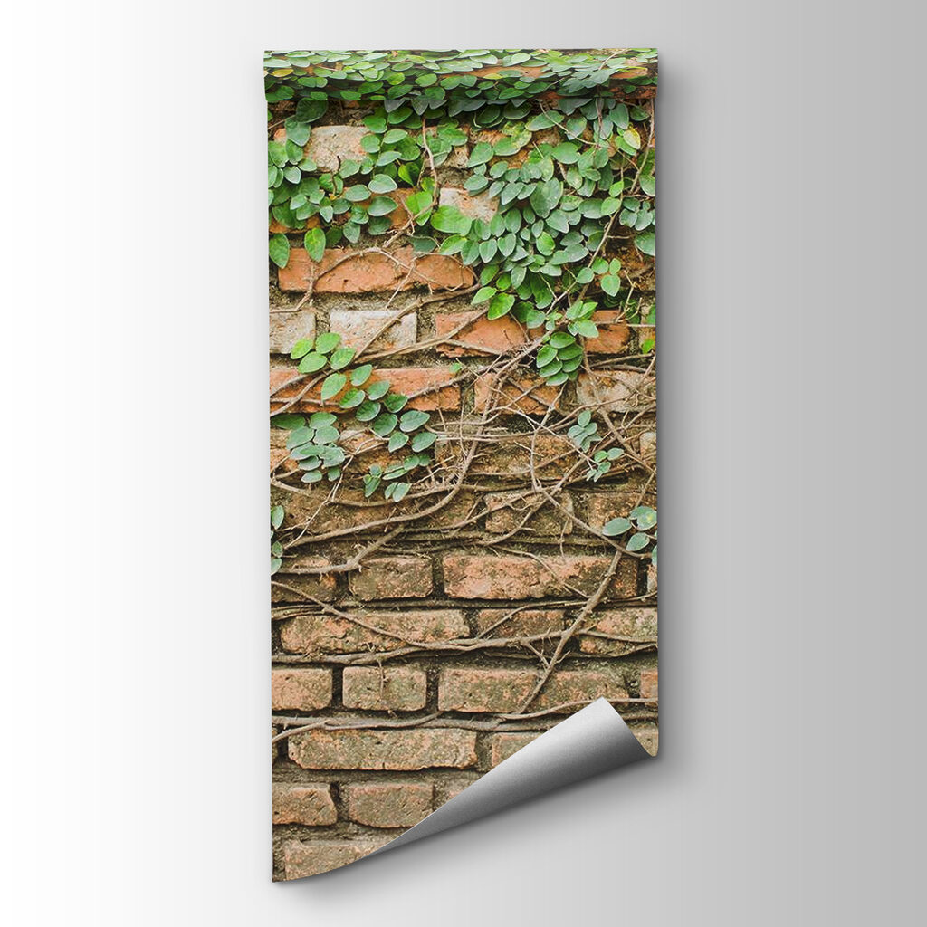 A brick wall with ivy growing on it A brick wall with ivy growing on it
