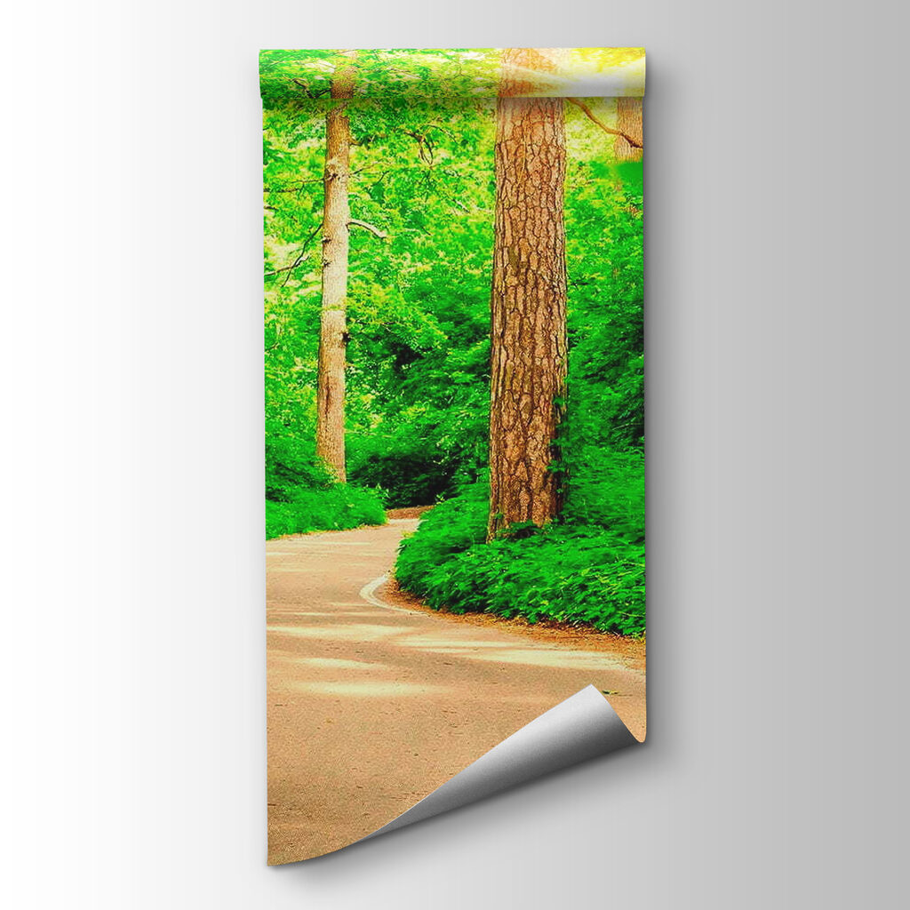 Road through a forest