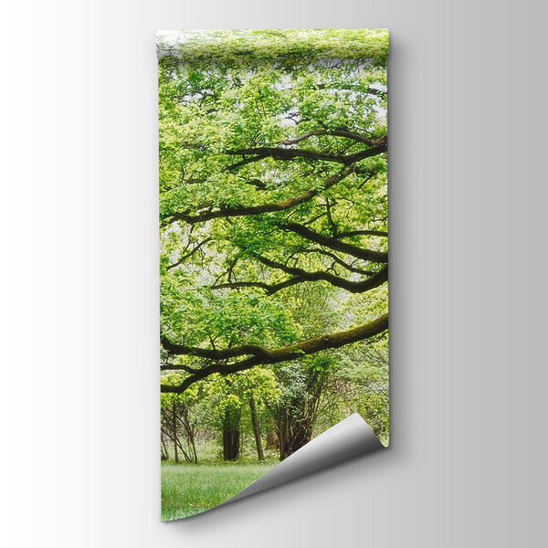 A tree with green leaves