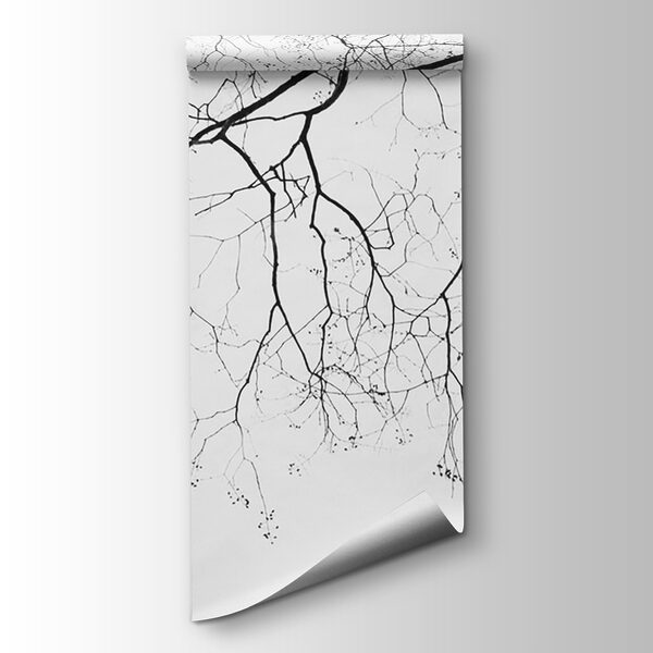 Tree branch with no leaves