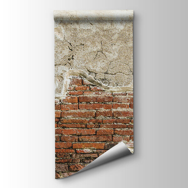 Brick wall with a cement wall