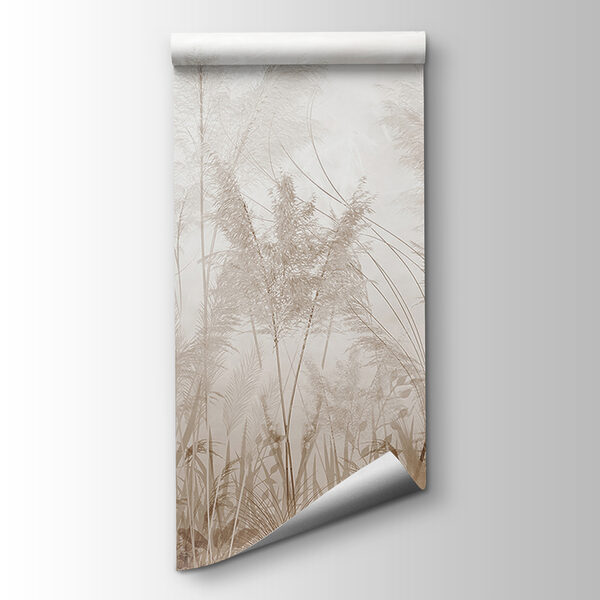 Field of grass with flowers Field of grass with flowers