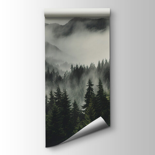 Forest with fog and mountains
