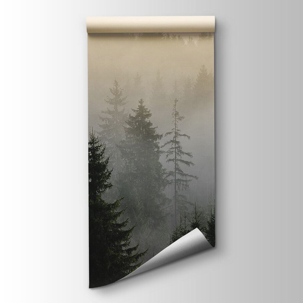Foggy forest with trees